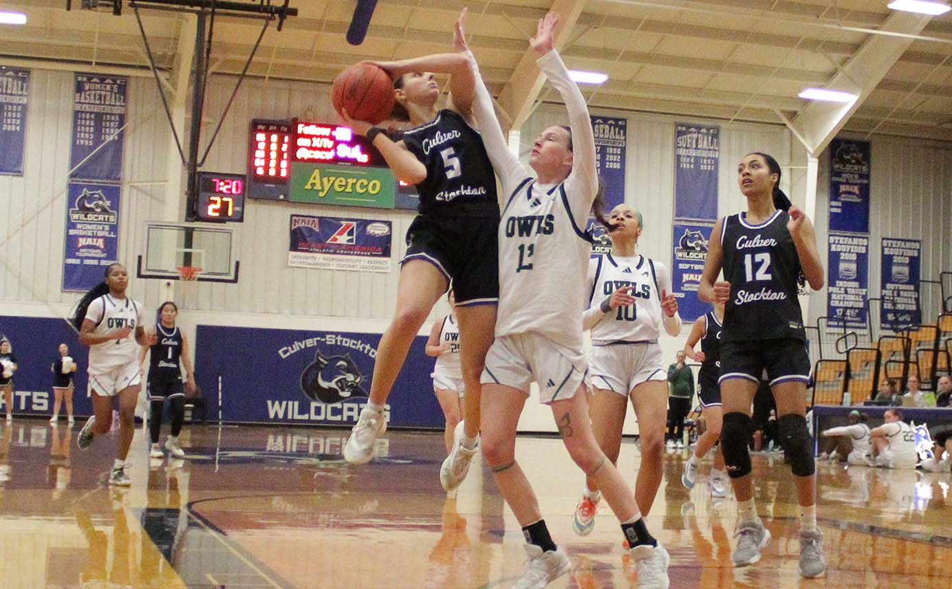 Wildcats Hold Mount Mercy to 35 Points in Winning 11th Straight Game