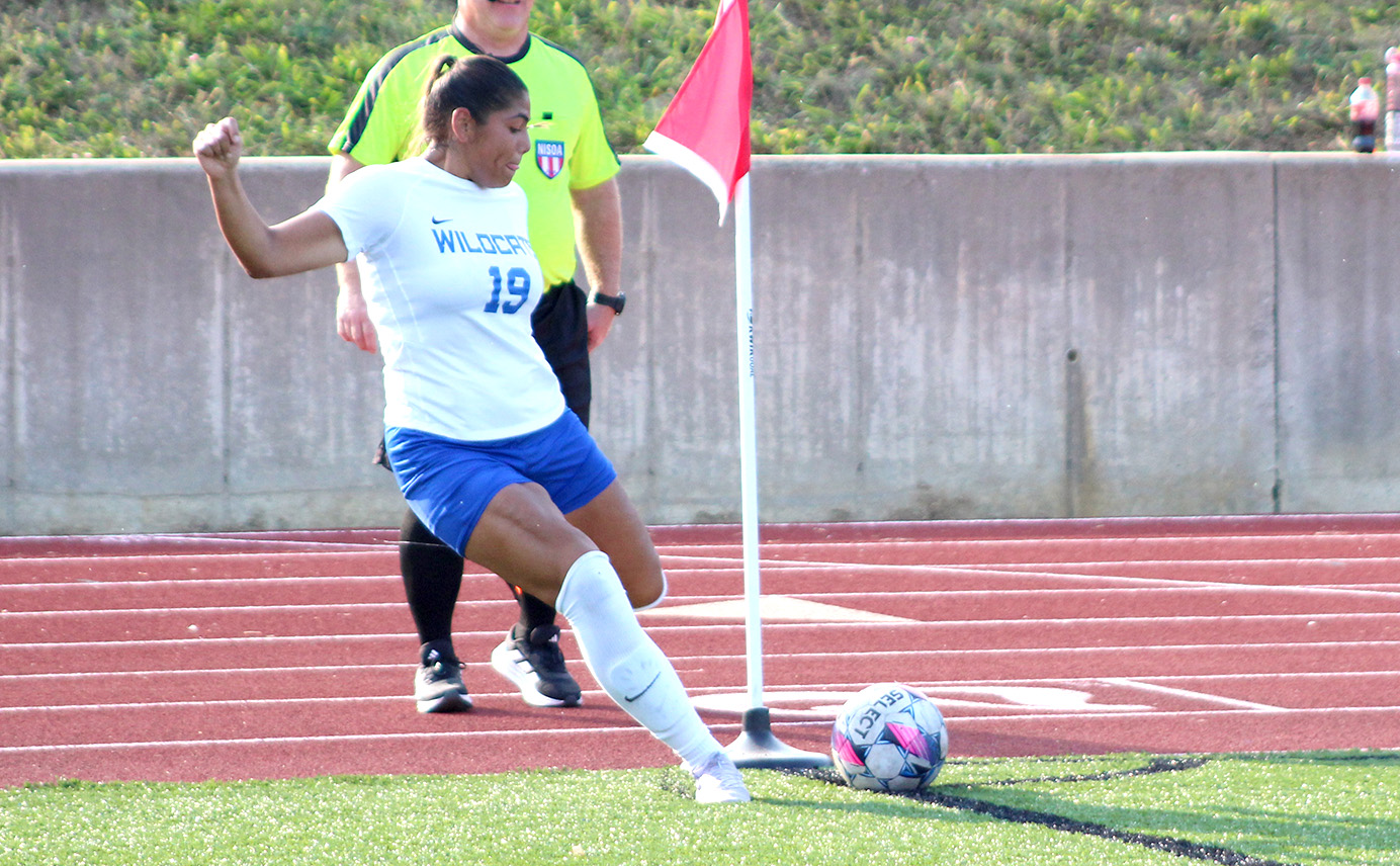 Williamson, Glasmann Help Wildcats Shutout Grand View